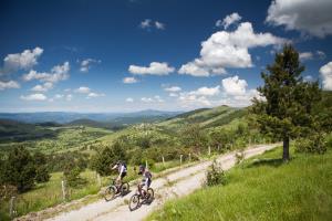 Kolesarjenje Ilirska Bistrica in Zeleni kras web (foto Simon Špilar) (13)